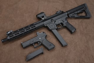 WILSON COMBAT AR9G